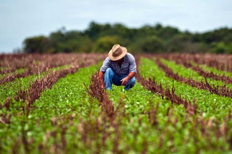 APOSENTADORIA RURAL